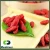 Import Dried Fruit certified organic Goji Berries And Organic Goji Berries free samples from China