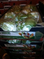 Egyptian Lettuce for sale, high quality, Fresh Vegetables
