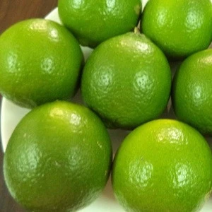 Eureka Lemon, Lime, Citrus Fruit