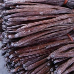 Extracted red vanilla U E