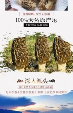 Factory Price Dried Price Morel Mushroom Morchella Mushroom Morel