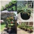 Import Factory price recycled 3 5 7 10 15 20 40 100 200 gallon garden fabric pots planter pot fabric plant grow bags from China