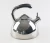 Import Fashion stainless steel boiling tea pot kitchen utensil water boiler whistle water kettle from China