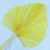 Import FCD1010 Dried Flowers dried Large palm leaves kinds of dried palm different shape and size for home and wedding decoration from China