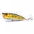 Import Fishing Lures Popper Bait 5 Color Hard Bait Artificial Plastic Fishing Tackle With 6# Hooks from China