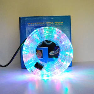Flexible Waterproof Neon Color Changing Led Grow Constant Rope Lights