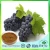 Import Free sample Grape seed powder extract for health care from China