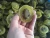 Import Freezed kiwi fruits. from USA