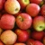 Import Fresh Apple Fruit / Quality Fresh Apple / Red Apple Fruit from Ukraine