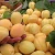 Import Fresh Cannes apricots from Germany