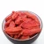Import Fresh Goji Berries/Natural authentic wolfberry from China