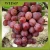 Import Fresh grapes from China