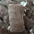 Import Fresh new chest nuts for sale with low price buy bulk horse chestnuts from China