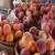 Import Fresh Peaches from China