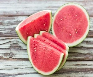 fresh watermelon and melon with reasonable price