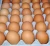 Import Fresh white chicken eggs, Fresh Chicken Hatching EGGS At Good Prices from South Africa