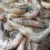 Import Frozen Black Tiger Shrimps/ Frozen King Prawns !!! from United Kingdom