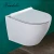 Import G13H004 Rimless wall mounting toilet turkish middle east sanitary ware concealed cistern flush wall hung toilet from China