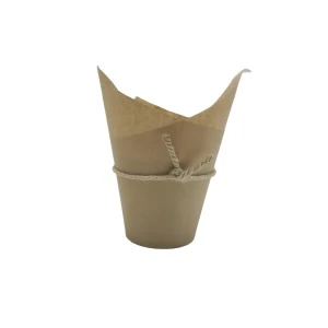 Garden wholesale decorative outdoor indoor plastic planter flowerpot succulent plant pots with Kraft paper