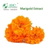 GMP Plant Extract Factory Natural Lutein Powder Marigold Flower Extract