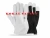 Import Grain goatskin leather work safety gloves / Assembly Gloves / Working Gloves from Pakistan