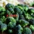 Import Green Fresh Vegetables for High Quality Cauliflower from Vietnam