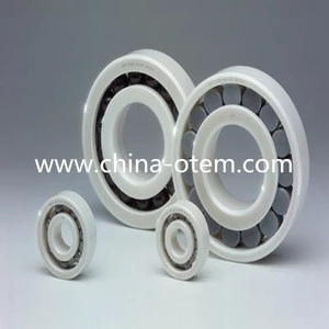 Guangzhou OTEM plastic Cylindrical Roller Bearings