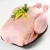 Import Halal Frozen Whole Chicken from South Africa