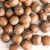 Import Hazelnuts From Turkey Best Price from Germany