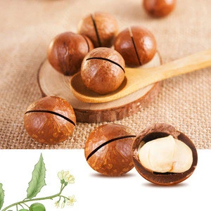 Healthy &amp; tasty snack Macadamia Nuts for leisure time