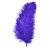 Import HEALTHY bug free and very colour full Ostrich Feathers for sale from South Africa