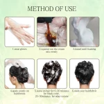 herbal hair dye genjibre tint ginseng chinese shampoo dark coffee ha 3 in 1 hair shampoo