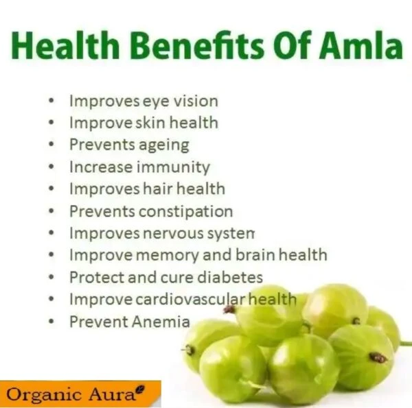 Herbal Nutritional Amla Supplement supplier from India