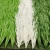 Import High quality artificial lawn carpet plastic grass artificial grass turf football from China