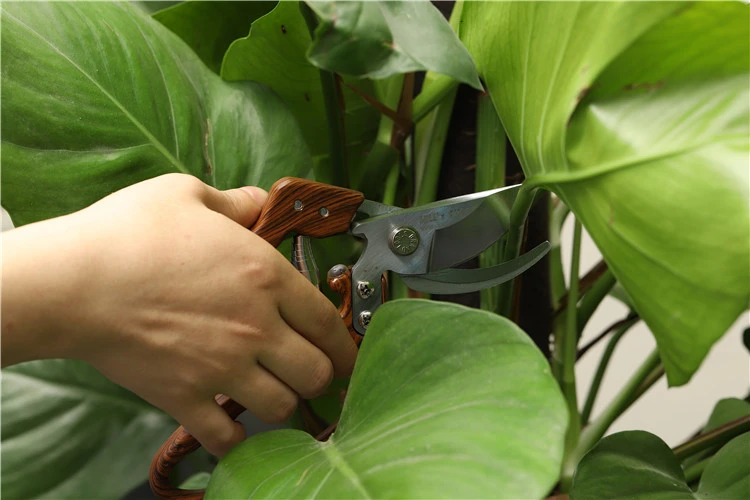 High quality black handle pruning scissors durable garden flower pruner