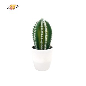 High quality everyday EVA green tabletop indoor artificial cactus plant in plastic pot for home decoration