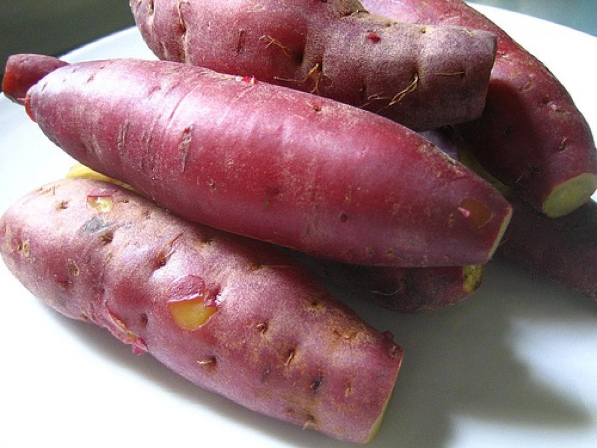 High Quality Farm Eco Friendly Japanese Purple Fresh Sweet Potatoes Factory from Vietnam