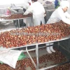 high quality fresh Chinese chestnuts of all sizes in Dandong