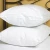 Import High Quality Goose Down Feather Pillow Feather Filled Pillow 70% Goose Down 30% Feather Pillow from China