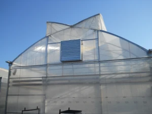 High quality industrial film greenhouses from manufacturer, multi-span greenhouses