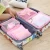 Import High quality Travel Dresser Pouch cheap folding large capacity packaging travel Bag storage bag for durable packing cubes from China