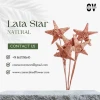 High Quality Wholesale Customized Lata Star- Gold, Glitter, Natural: Lata & Vine Collection for Christmas Decor