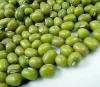 Highesr Grade Organic cultivated Green Mung Beans/Vigna Beans price