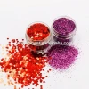 Holographic Chunky Glitter/ Colorful Non-toxic PET Craft Glitter Nail Glitter Powder