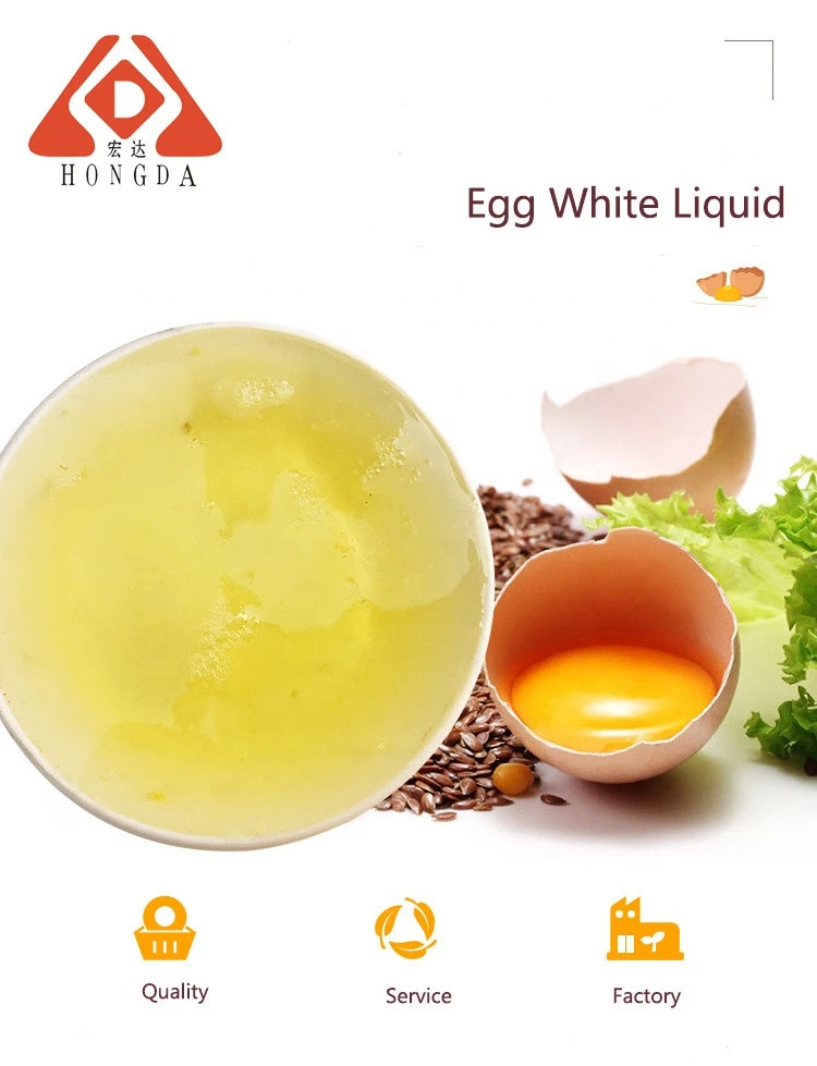 HONGDA Supply White Egg Powder Price Wholesale Egg White Protein Powder