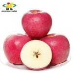 [HOT] Fuji Apple/fresh Apple for sale