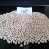 Hot Sale 99% Purity White Sorghum for Bird