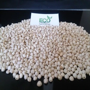 Hot Sale 99% Purity White Sorghum for Bird