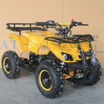 Hot Sale Bull Style 2 Stroke 49cc Pull Starting Kids Mini ATV