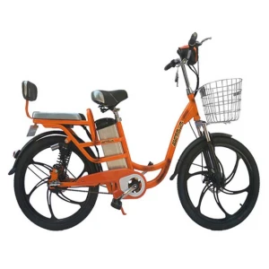 Hot sale  Cheap  48V 240W  electric bike  bicycle  for adult